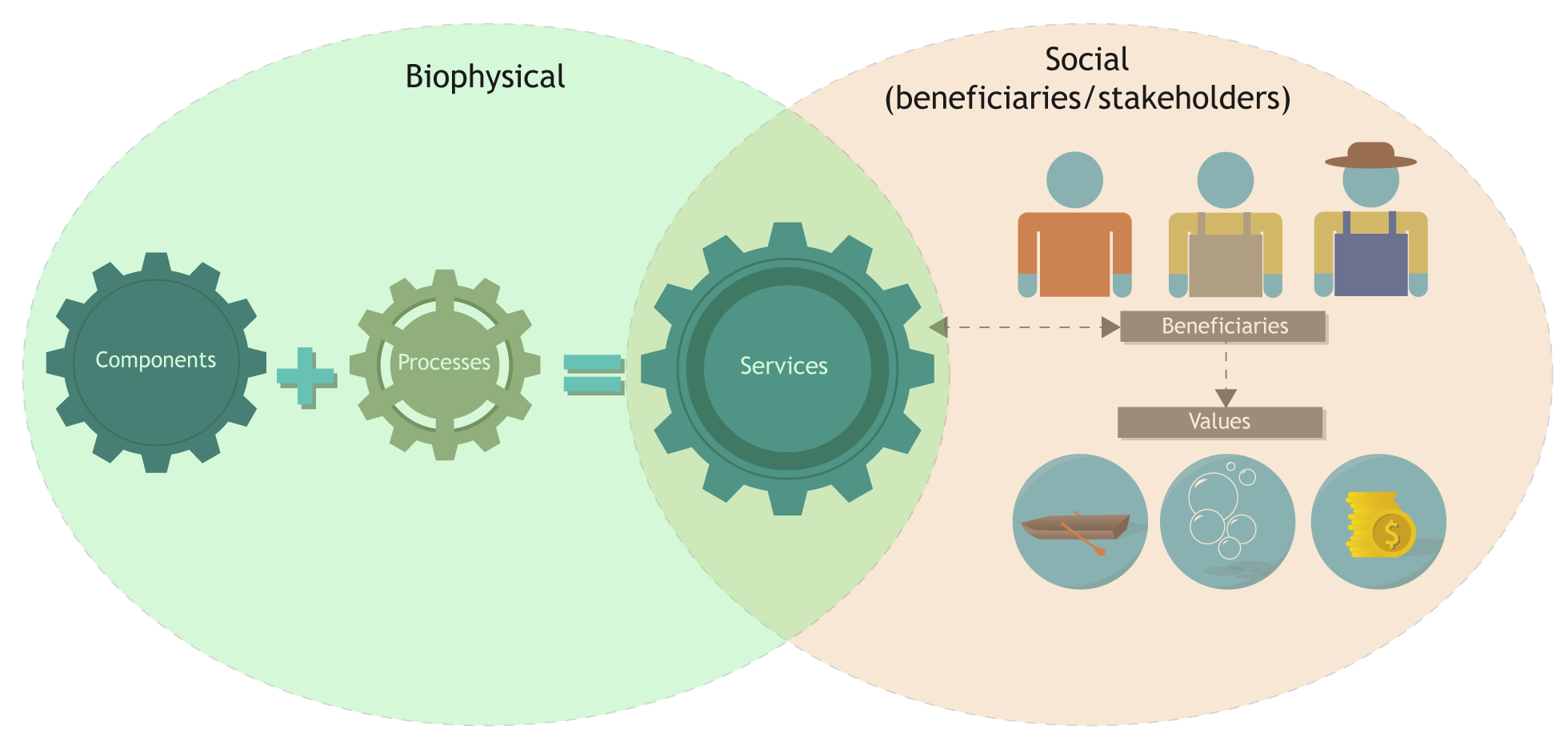 A simplified diagram of how social, cultural and economic values are formed in social-ecological systems. Adapted from Landers and Nahlik (2013), Scholte et al. (2015) and Haines-Young and Potschin (2018). 