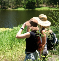 Wetlands have a range of values Photo by Queensland Government