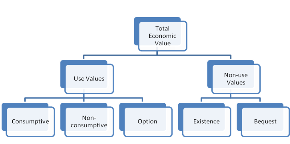 Figure 1 - Total economic value