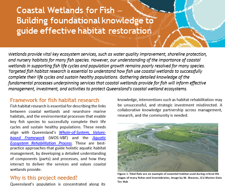 Coastal wetlands for fish factsheet