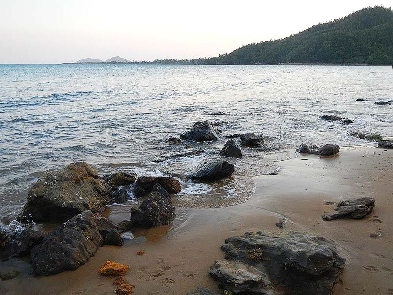 Intertidal sand and rocks at Bingil Bay, Photo by Maria Zann